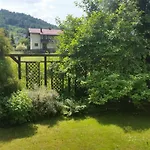 - Brzozowy Zagajnik Świnna