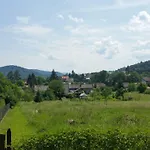 - Brzozowy Zagajnik Świnna