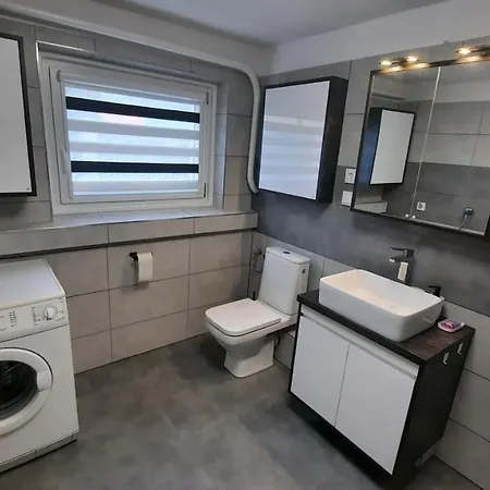 - Brzozowy Zagajnik Apartamento Świnna