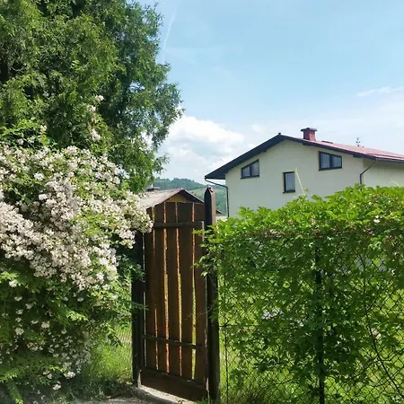 Appartement - Brzozowy Zagajnik Świnna