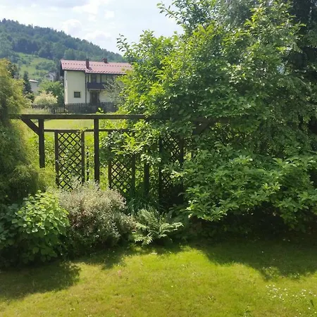 - Brzozowy Zagajnik Świnna