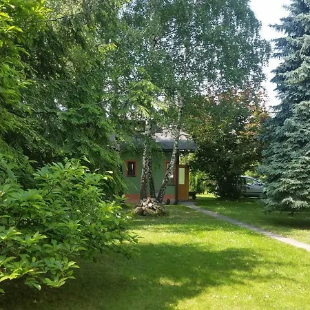 - Brzozowy Zagajnik Apartamento