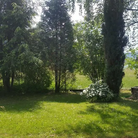 - Brzozowy Zagajnik Appartement Świnna