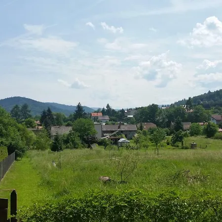 - Brzozowy Zagajnik Świnna