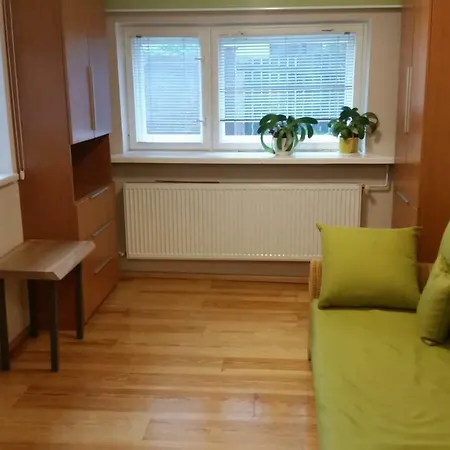 - Brzozowy Zagajnik Apartment Świnna