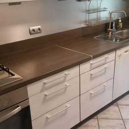 - Brzozowy Zagajnik Apartment Świnna