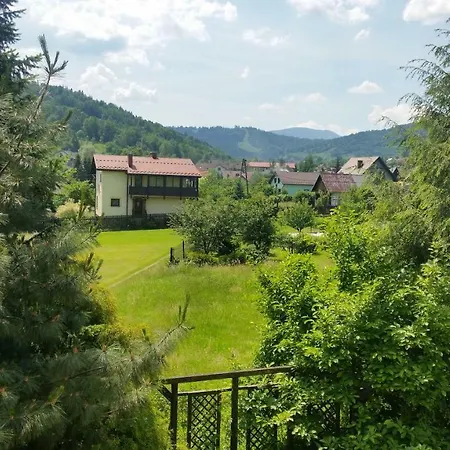 - Brzozowy Zagajnik Świnna