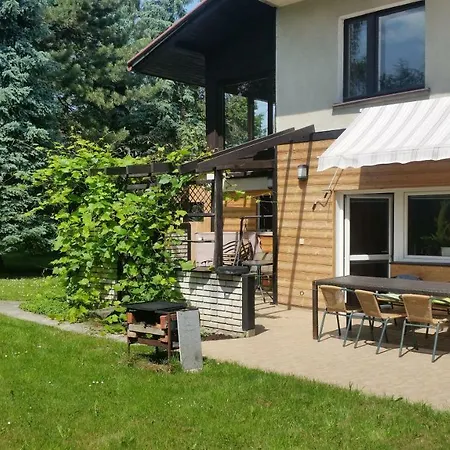 - Brzozowy Zagajnik