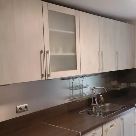 - Brzozowy Zagajnik Apartamento