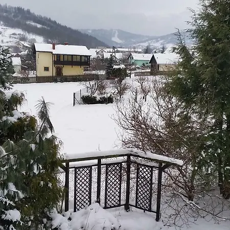 - Brzozowy Zagajnik *