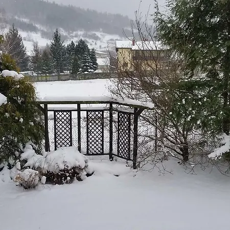 - Brzozowy Zagajnik Świnna