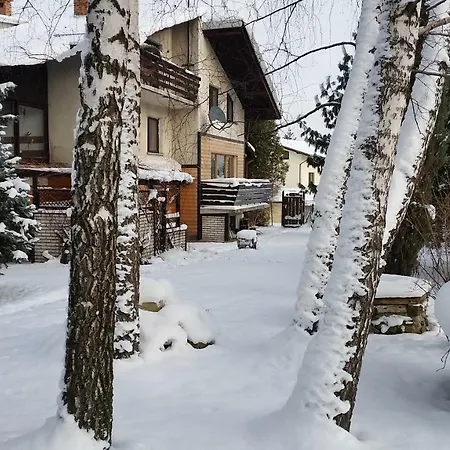 - Brzozowy Zagajnik Apartman