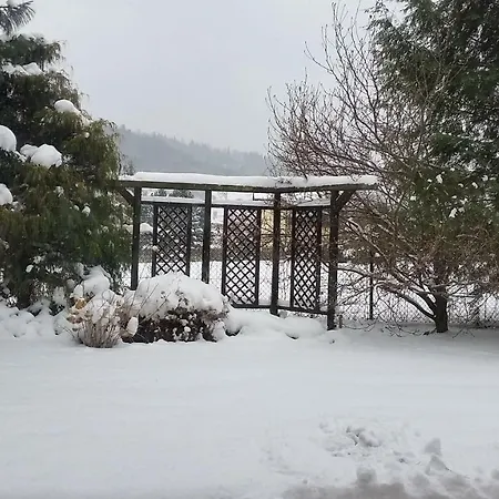 - Brzozowy Zagajnik Świnna