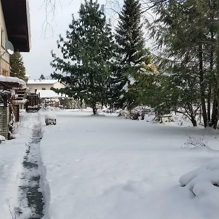 Apartment - Brzozowy Zagajnik *