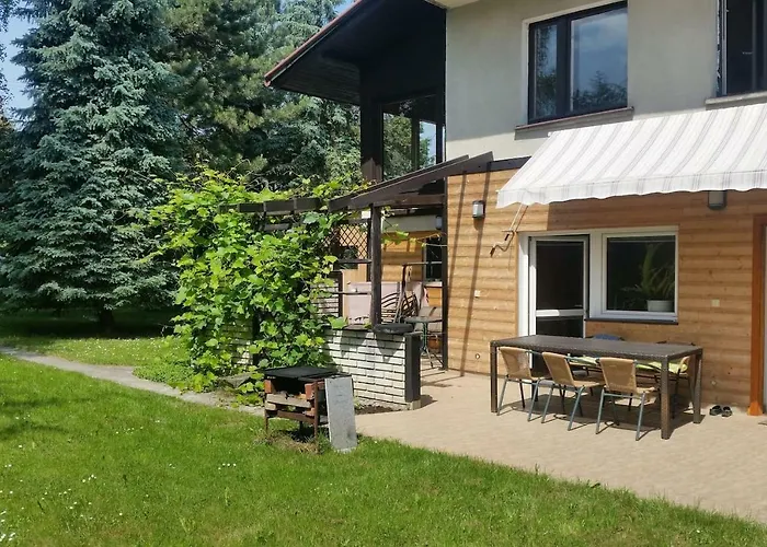 - Brzozowy Zagajnik שוינה