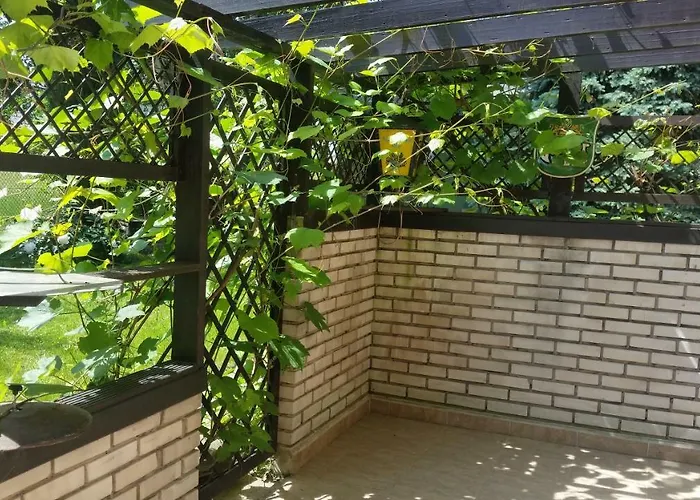 דירה - Brzozowy Zagajnik