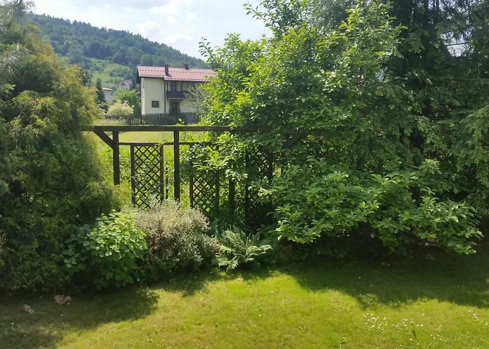 - Brzozowy Zagajnik שוינה