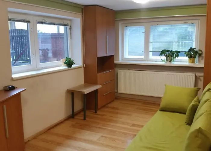 - Brzozowy Zagajnik *