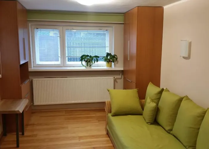 - Brzozowy Zagajnik שוינה