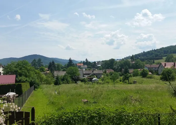 - Brzozowy Zagajnik 스비나