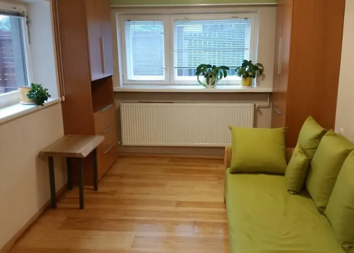 - Brzozowy Zagajnik דירה שוינה