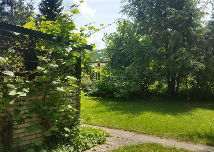 아파트 - Brzozowy Zagajnik 스비나