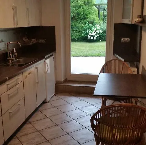 - Brzozowy Zagajnik *