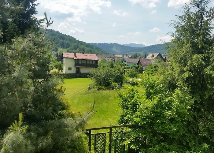 - Brzozowy Zagajnik שוינה