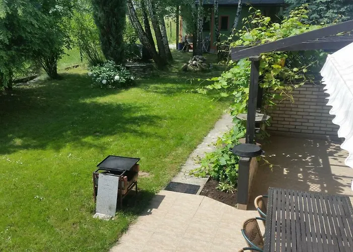 - Brzozowy Zagajnik *