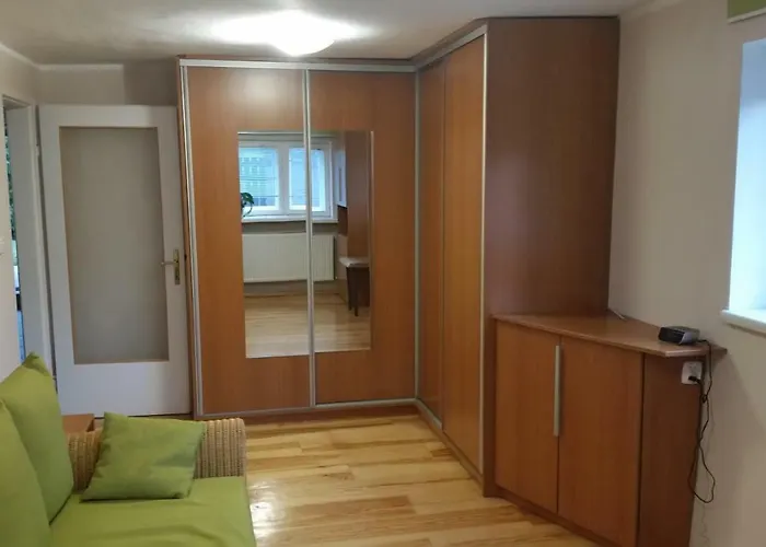 - Brzozowy Zagajnik *