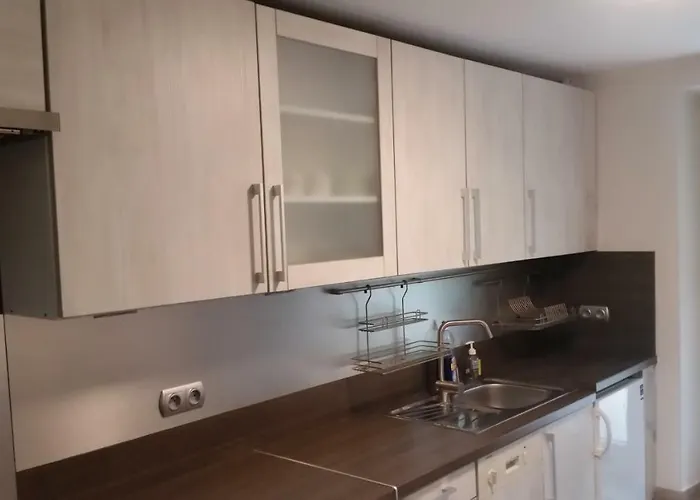 - Brzozowy Zagajnik דירה