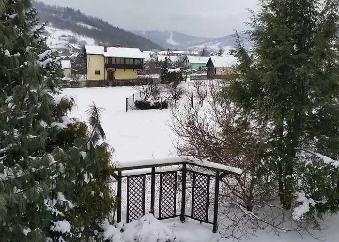 - Brzozowy Zagajnik *