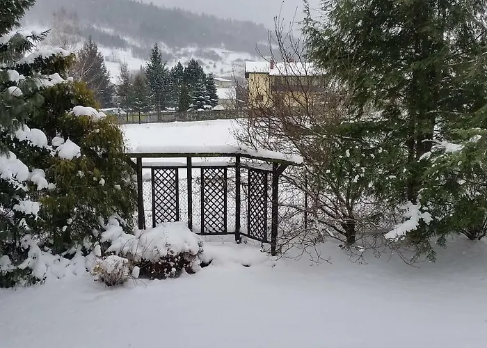 - Brzozowy Zagajnik שוינה