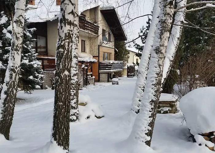 - Brzozowy Zagajnik דירה