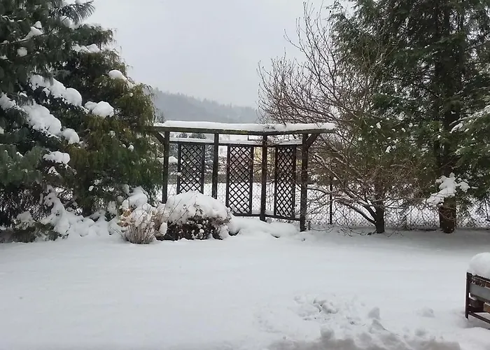 - Brzozowy Zagajnik שוינה